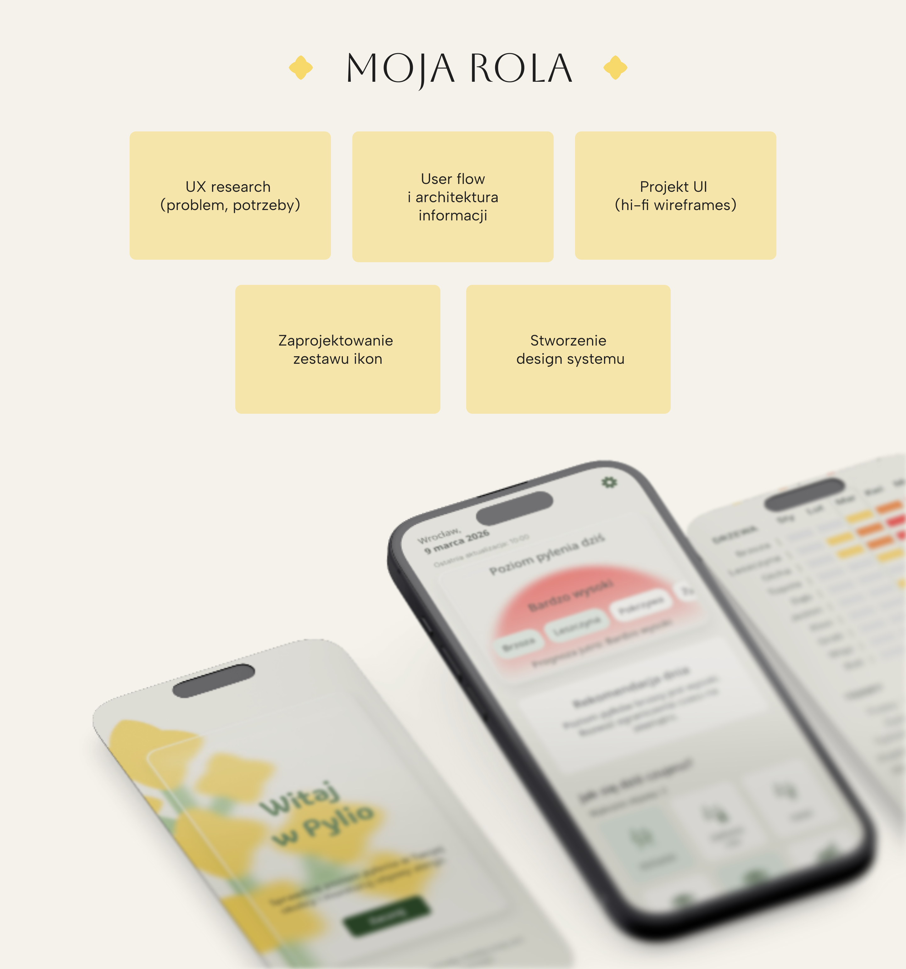 Pylio - Moja rola i wnioski